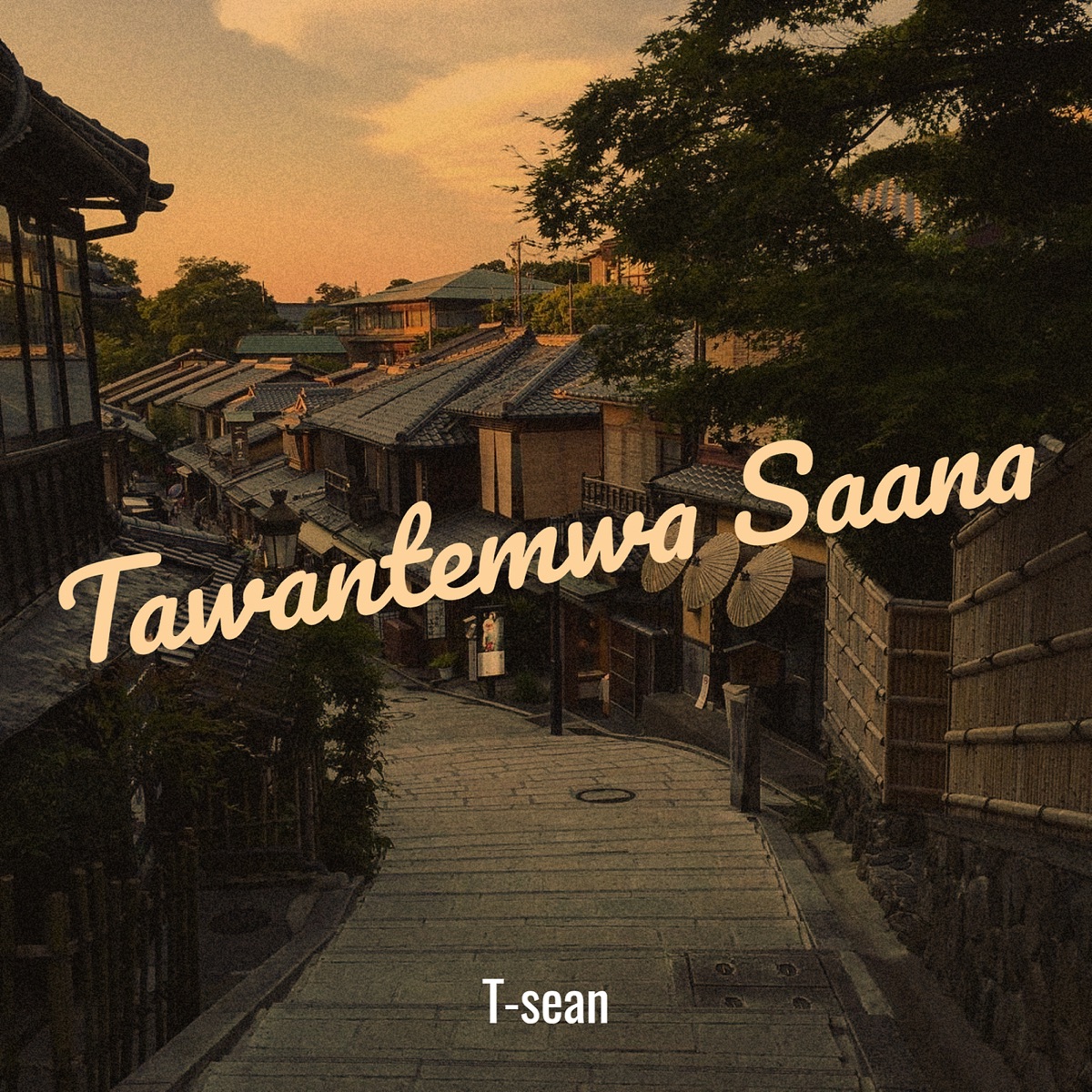 AUDIO: T-Sean – Tawantemwa Saana Mp3 Download